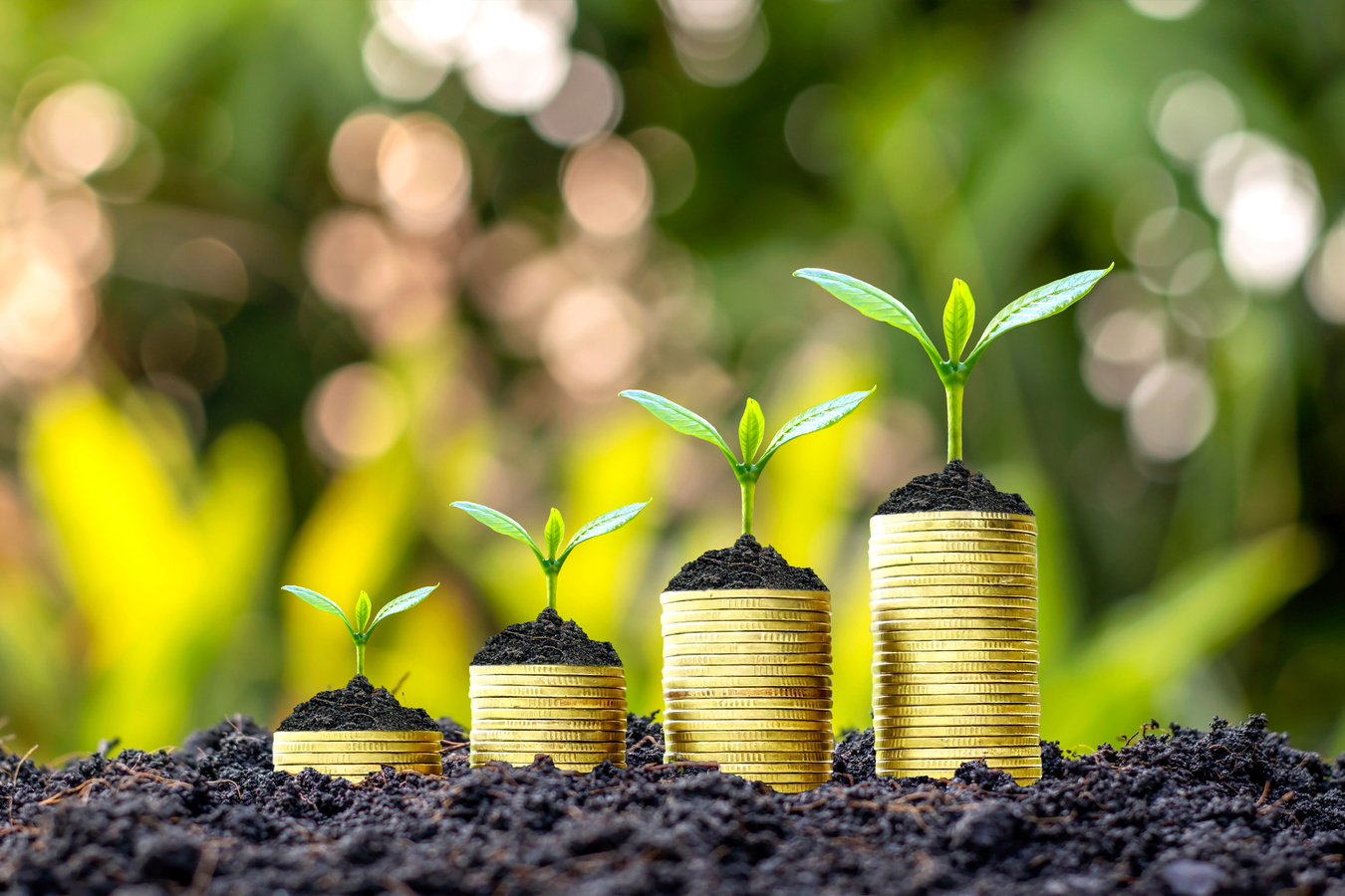 Coins and Plants Are Grown on a Pile of Coins 