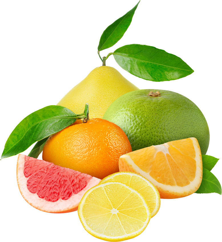 Group of Citrus Fruits 