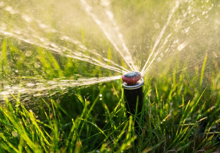 Automatic irrigation system. Water sprayer for irrigating a lawn.