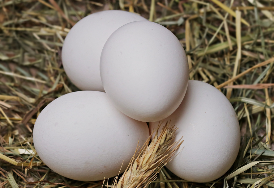 Eggs on the Straw