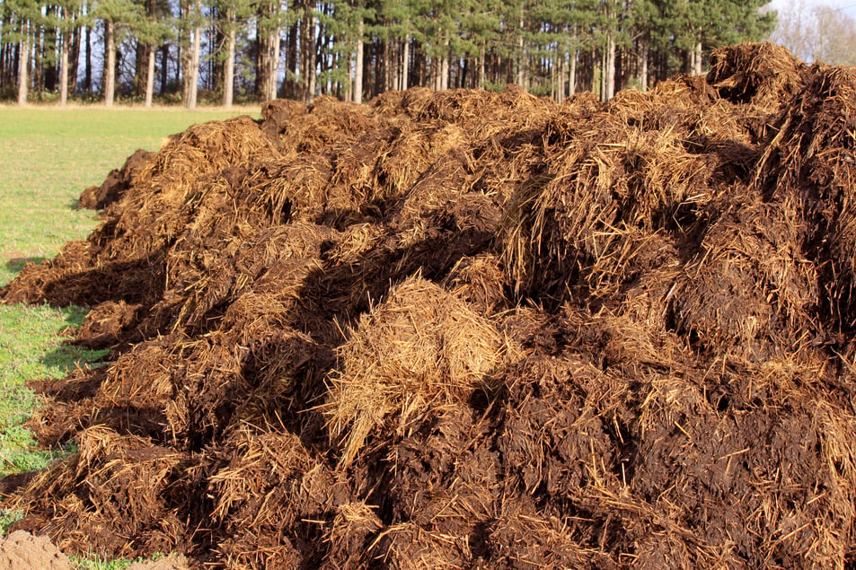 farm manure