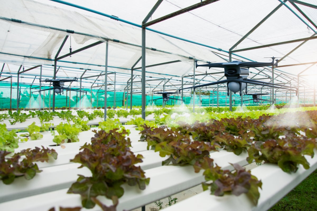 Aerial view futuristic agricultural drone,spraying chemicals or organic fertilizers into water droplets in agricultural areas fields,concept technology,modern agriculture with artificial intelligence